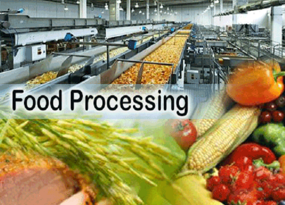 Food processing